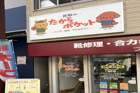 たからポケット